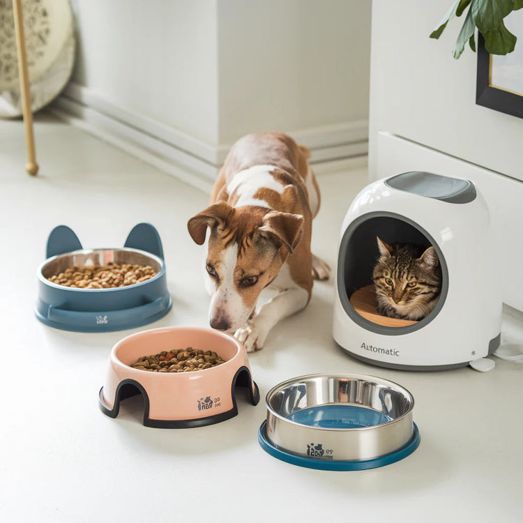 Durable and stylish bowls and feeders for cats and dogs, designed for easy feeding and convenience, featuring non-slip designs and various sizes