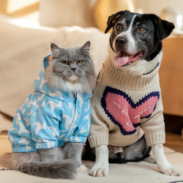 Pet wearing a cozy sweater from our stylish and functional Clothes collection, perfect for warmth and fashion during chilly days.