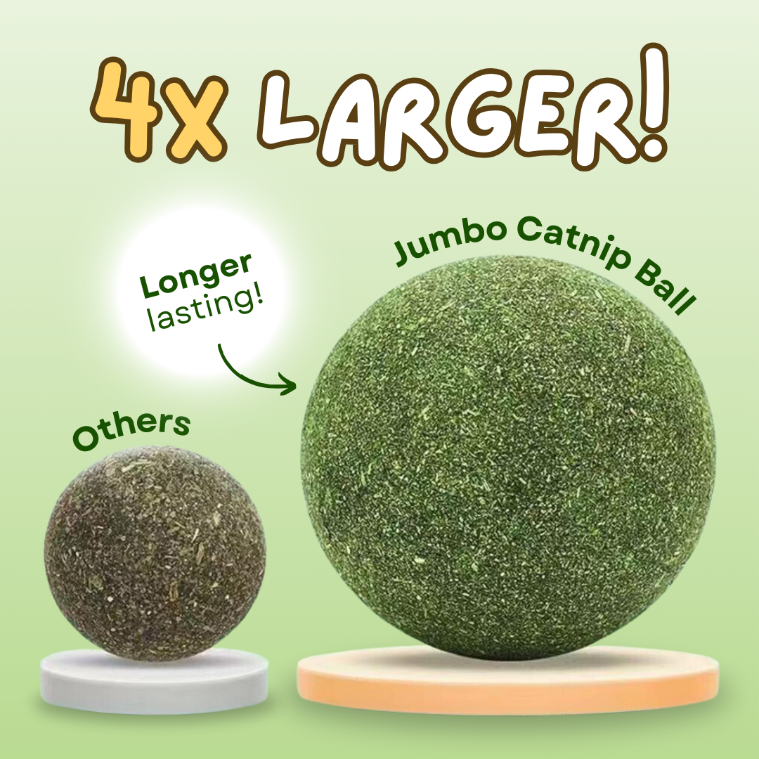 Jumbo Catnip Play Ball: Ultimate Interactive Toy for Happy Cats-Cat Toy-2-Colydia