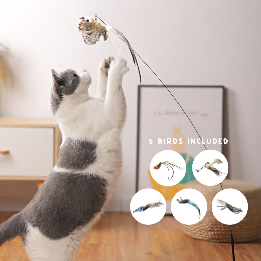 Chirpy Chase Interactive Bird Toy for Cats-Interactive Cat Toy-1-Colydia