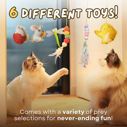 Exciting Dangling Cat Toy Set for Active Play (6 PCS)-Cat Toy Set-6-Colydia