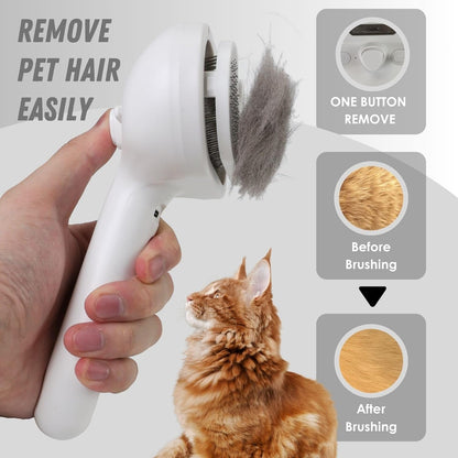 Mist Massage Spray Brush for Cats and Dogs-**Product Type**: Pet Grooming Brush-2-Colydia