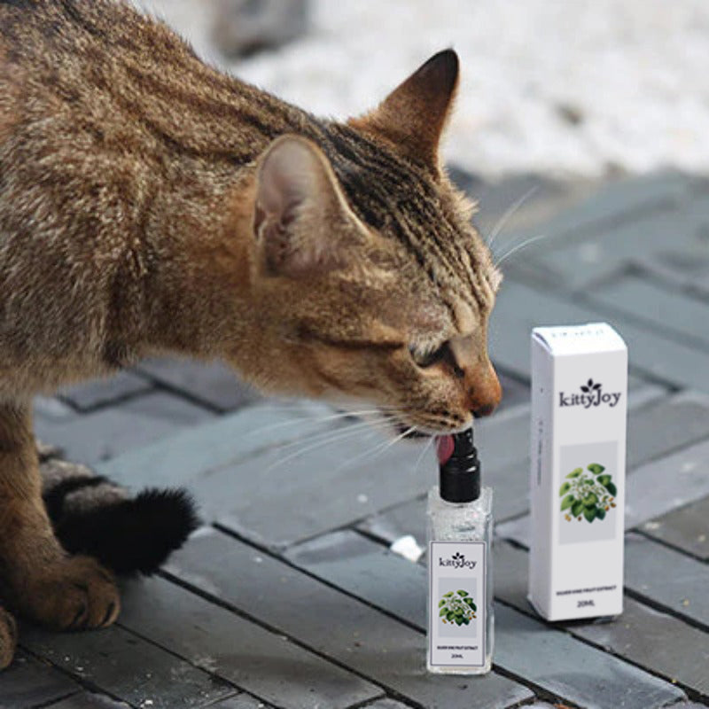 Herbal Cat Joy: Natural Silvervine Spray for Instant Cat Attraction-Silvervine Cat Spray-4-Colydia