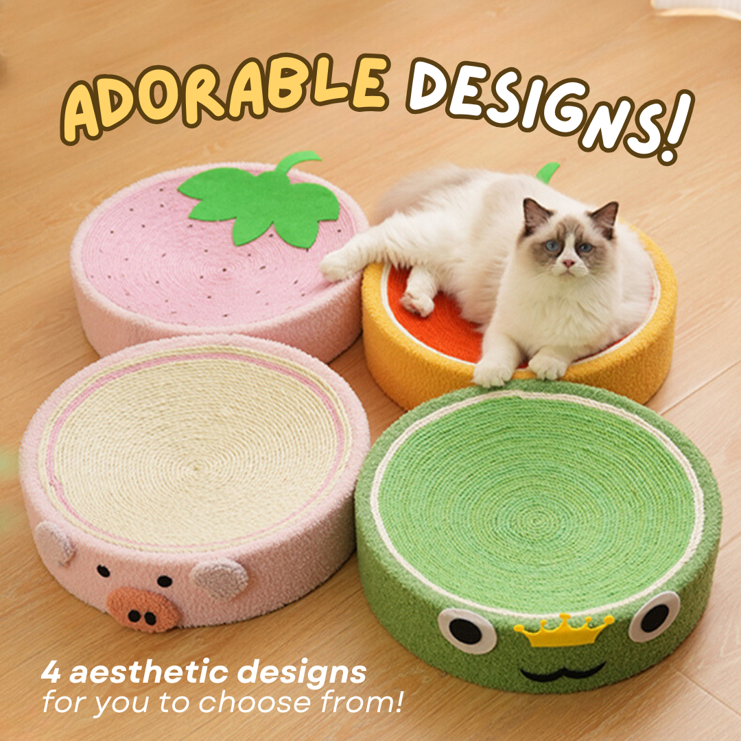 Space-Saving Cat Bed & Scratcher in Cute Designs for Cozy Homes-Cat Bed & Scratcher-6-Colydia