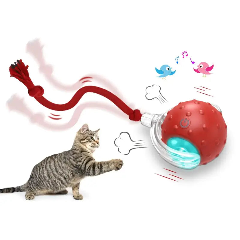 Interactive Cat Ball Toy with USB Recharge and Bird Sounds-Cat Toy-2-Colydia