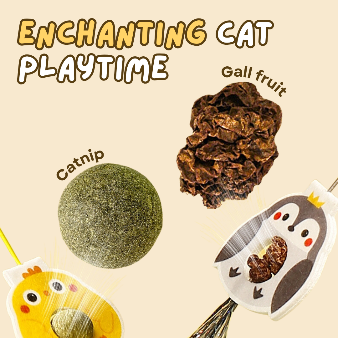 Interactive Elastic Cat Toys (Set of 4) with Catnip & Gallfruit-Interactive Cat Toy-2-Colydia