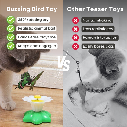 Interactive Cat Bird Toy: Engaging Playtime and Exercise Solution-Interactive Cat Toy-5-Colydia