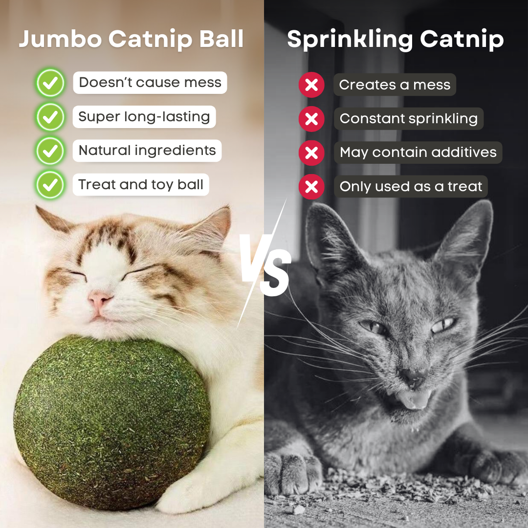 Jumbo Catnip Play Ball: Ultimate Interactive Toy for Happy Cats-Cat Toy-7-Colydia