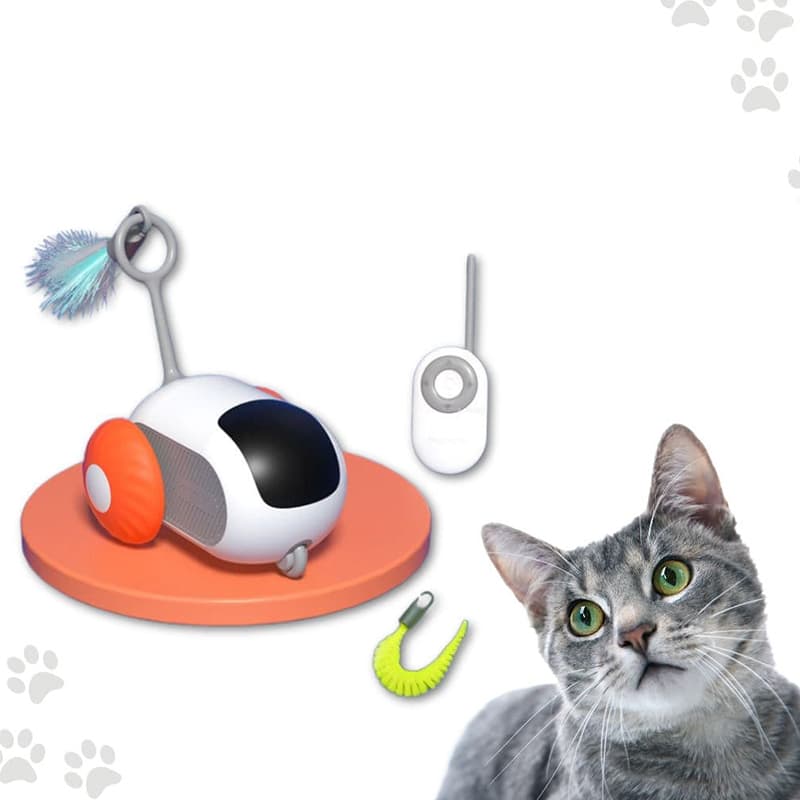 Interactive Cat Chasing Toys-Cat Interactive Toy-1-Colydia