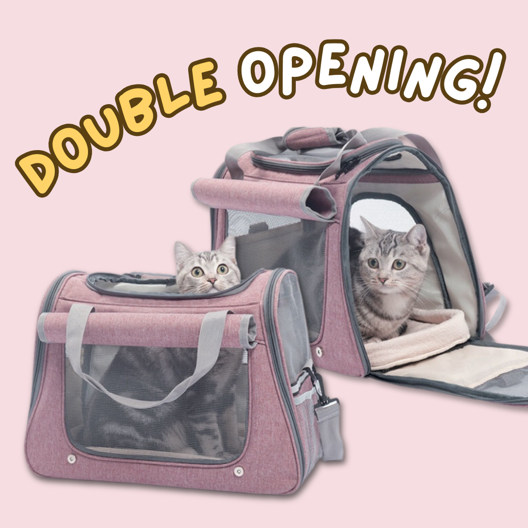 Durable Cat Travel Carrier with Mesh Panels for Easy Ventilation-Cat Travel Carrier-3-Colydia