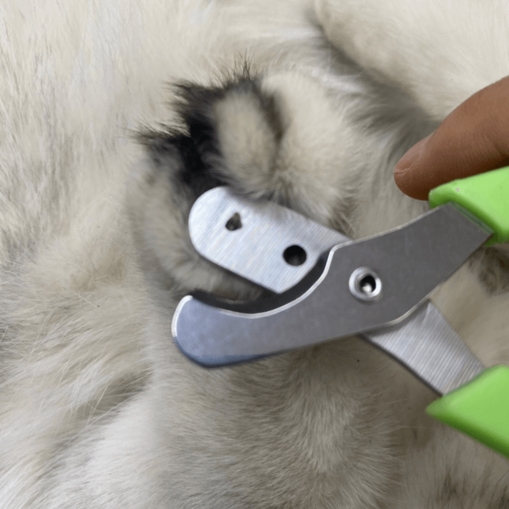 Effortless Precision Pet Nail Clippers-Pet Nail Clippers-Green (Triple holes)-5-Colydia