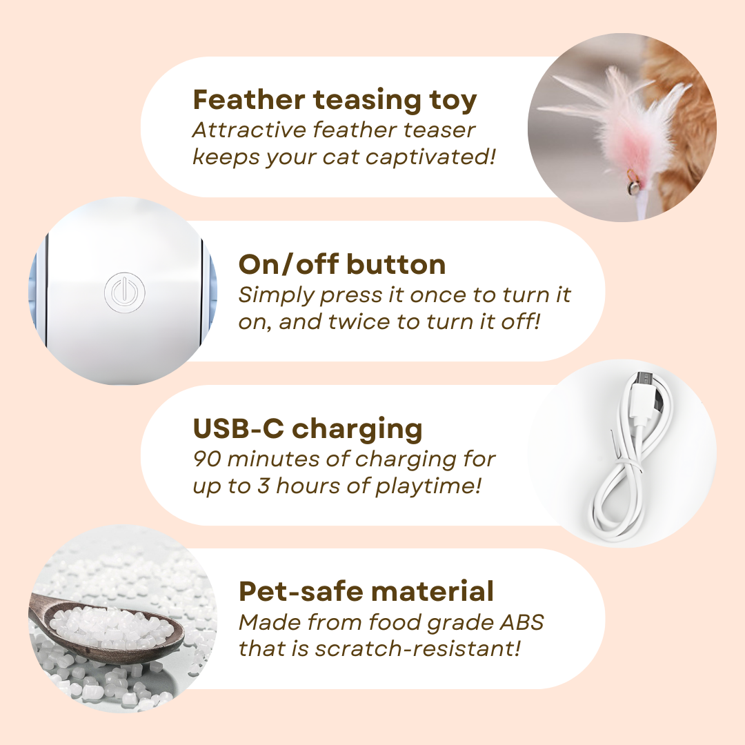 Interactive Rechargeable Cat Toy with Feather Teaser for Active Play-Interactive Cat Toy-4-Colydia