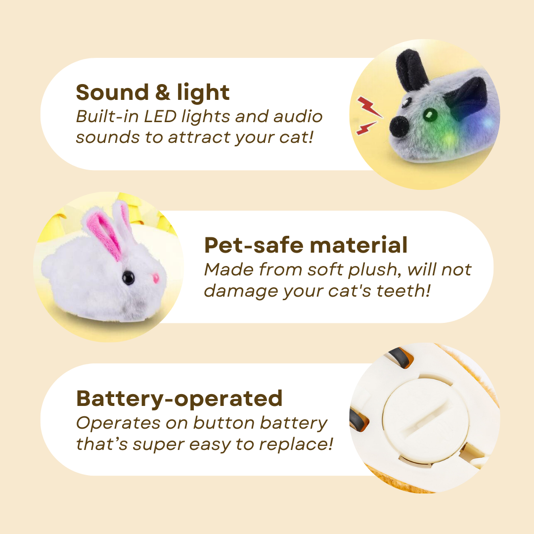 Interactive Smart Mouse Toy for Cats with Lights and Sounds-Interactive Cat Toy-5-Colydia