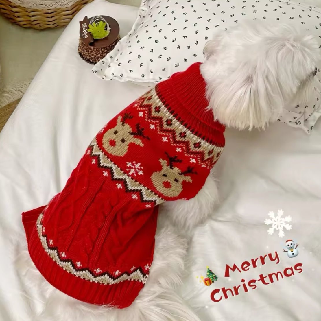 Cozy Festive Pet Sweater – Stylish Holiday Wear, Perfect for Photos!-Pet Sweater-7-Colydia