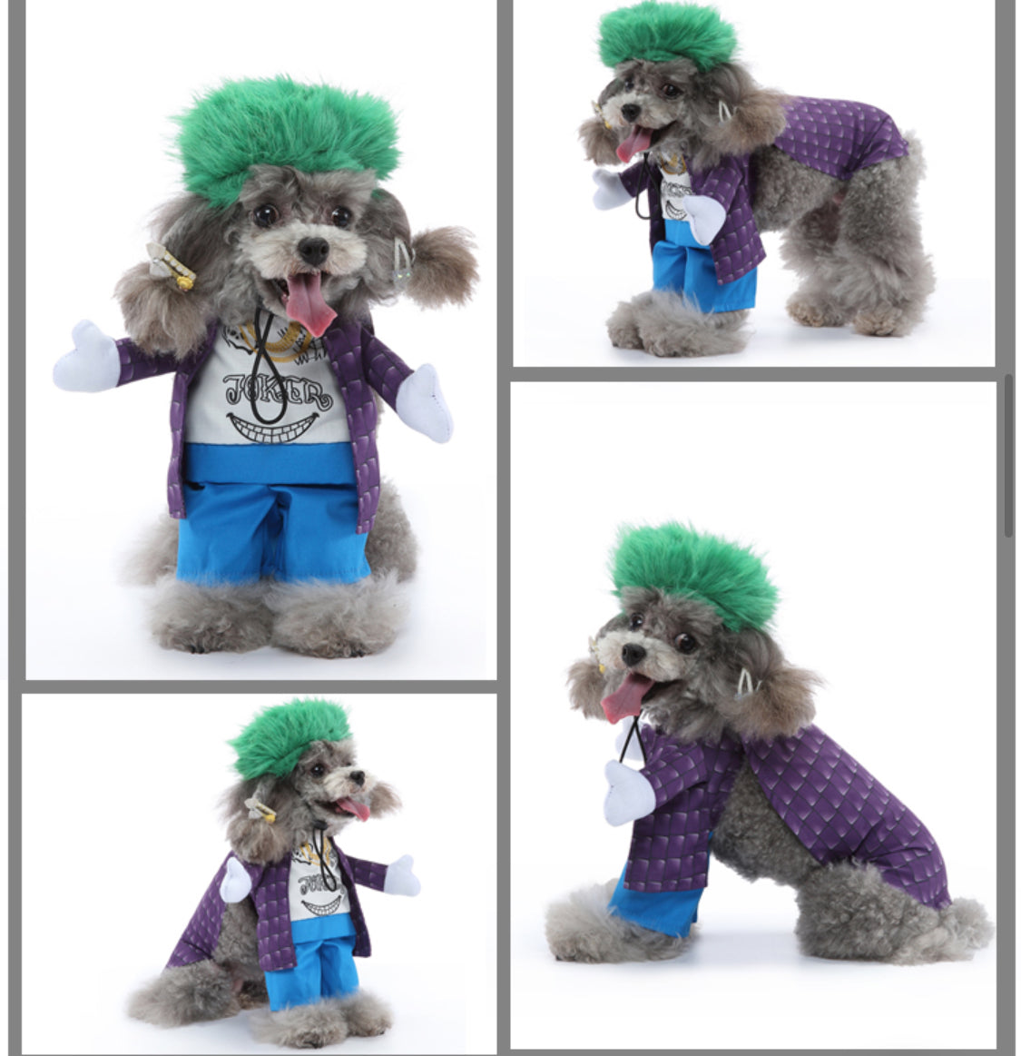 Joker Pet Costume for Cats & Dogs - Vibrant Halloween Outfit, Comfortable Fit-Pet Costume-4-Colydia