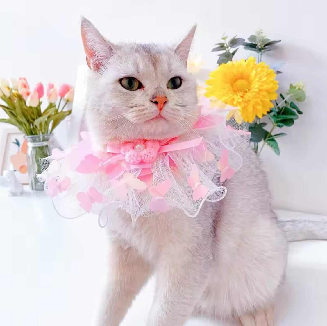 Magical Fairy Collar Bow for Cats & Dogs - XS to L Sizes-Pet Accessory-Pink-S-2-Colydia