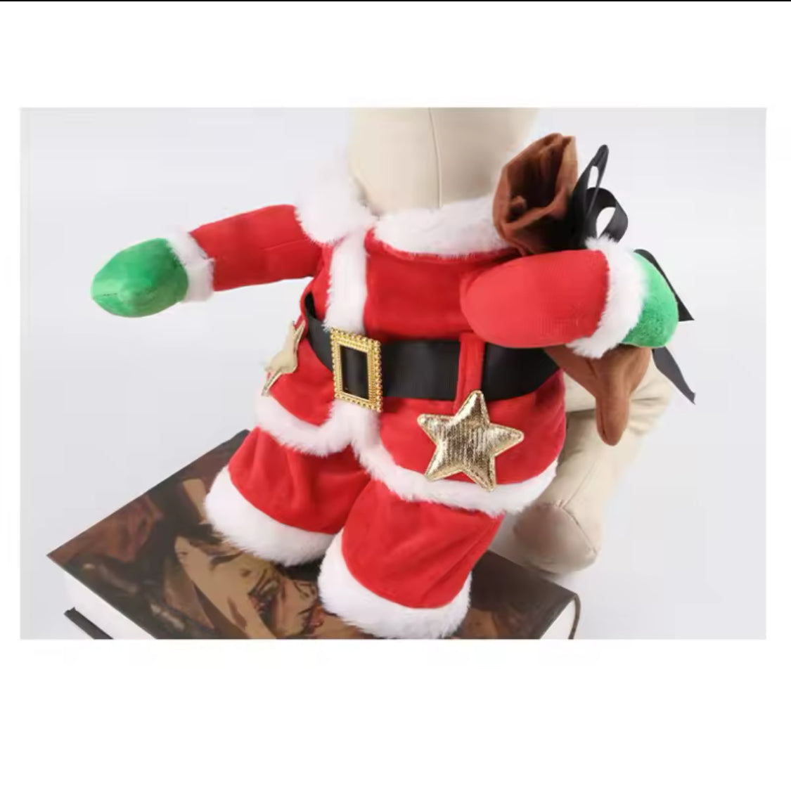 Pet Santa Costume Set: Festive Hat & Shirt for Christmas Fun-Pet Costume-8-Colydia