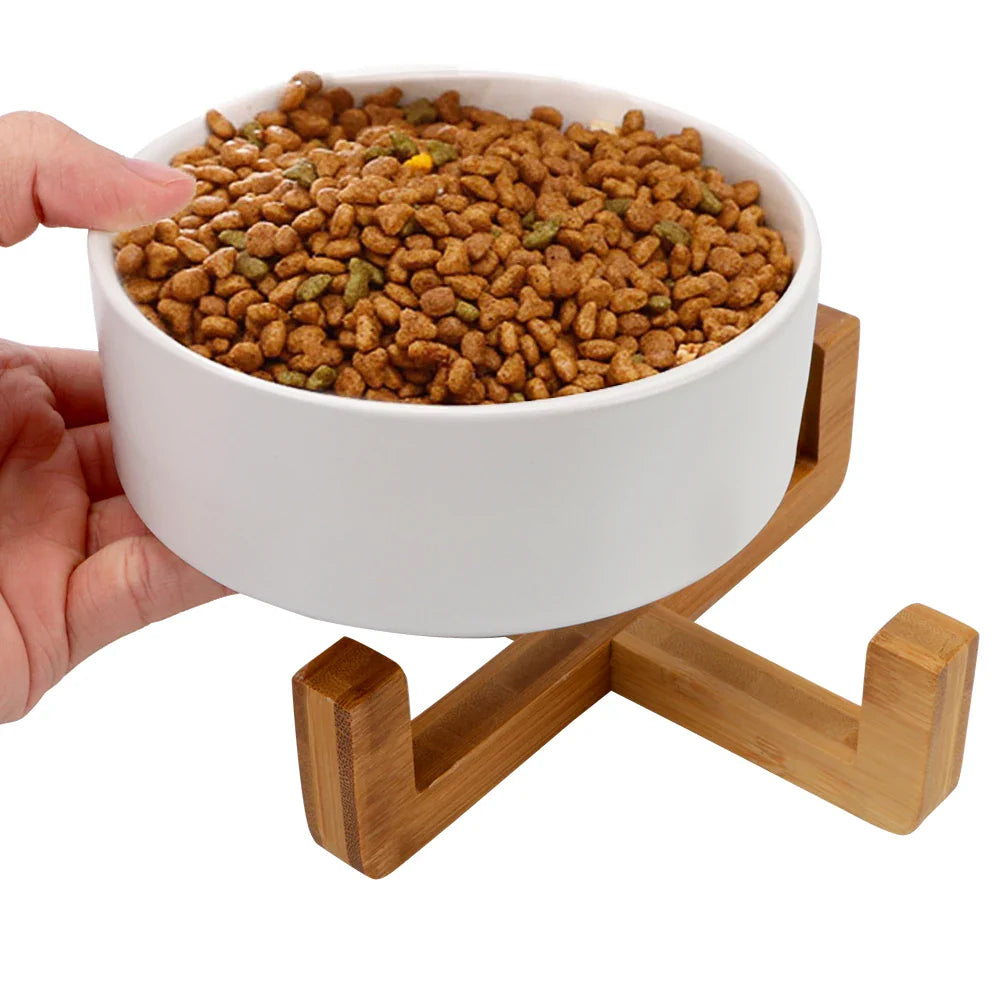 Elevated Elegance Cat Bowl with Bamboo Stand-Elevated Cat Bowl-1-Colydia