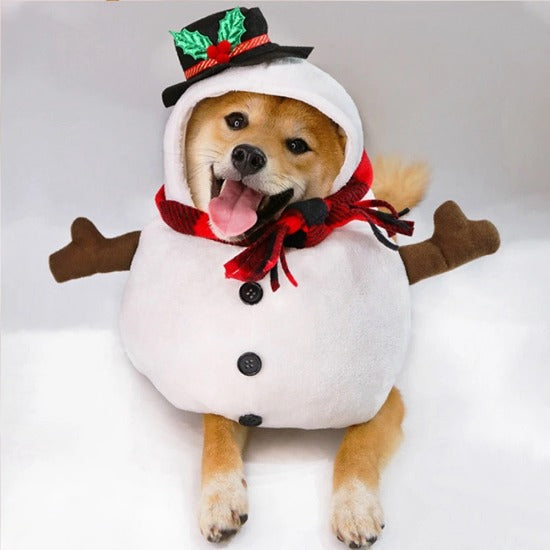 Festive Snowman Pet Costume for Cats & Dogs - Holiday Dress-Up-Pet Costume-1-Colydia