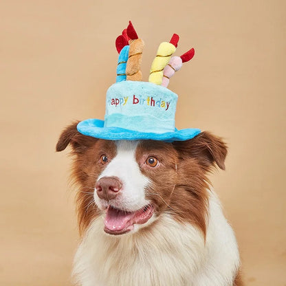 Funny Pet Birthday Hat - Stylish Blue & Pink Options with Pom-Pom-Pet Birthday Hat-1-Colydia