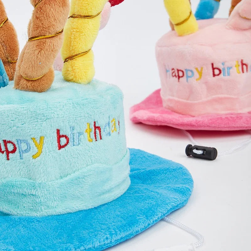 Funny Pet Birthday Hat - Stylish Blue & Pink Options with Pom-Pom-Pet Birthday Hat-2-Colydia