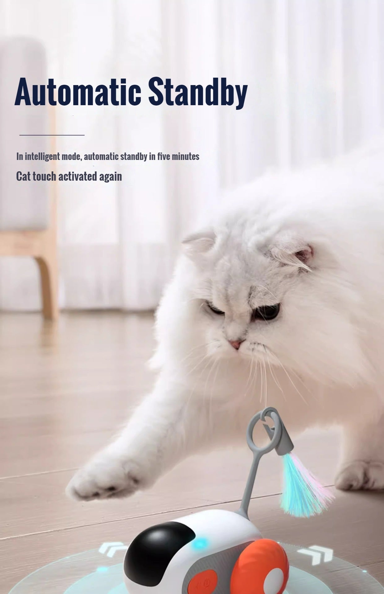 Interactive Cat Chasing Toys