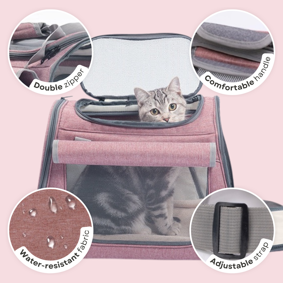 Durable Cat Travel Carrier with Mesh Panels for Easy Ventilation-Cat Travel Carrier-7-Colydia