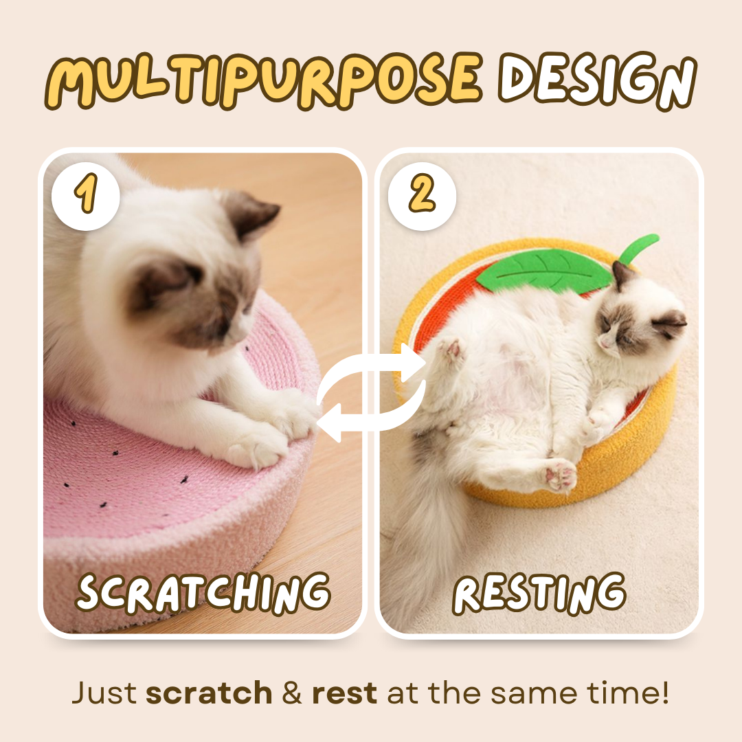 Space-Saving Cat Bed & Scratcher in Cute Designs for Cozy Homes-Cat Bed & Scratcher-3-Colydia