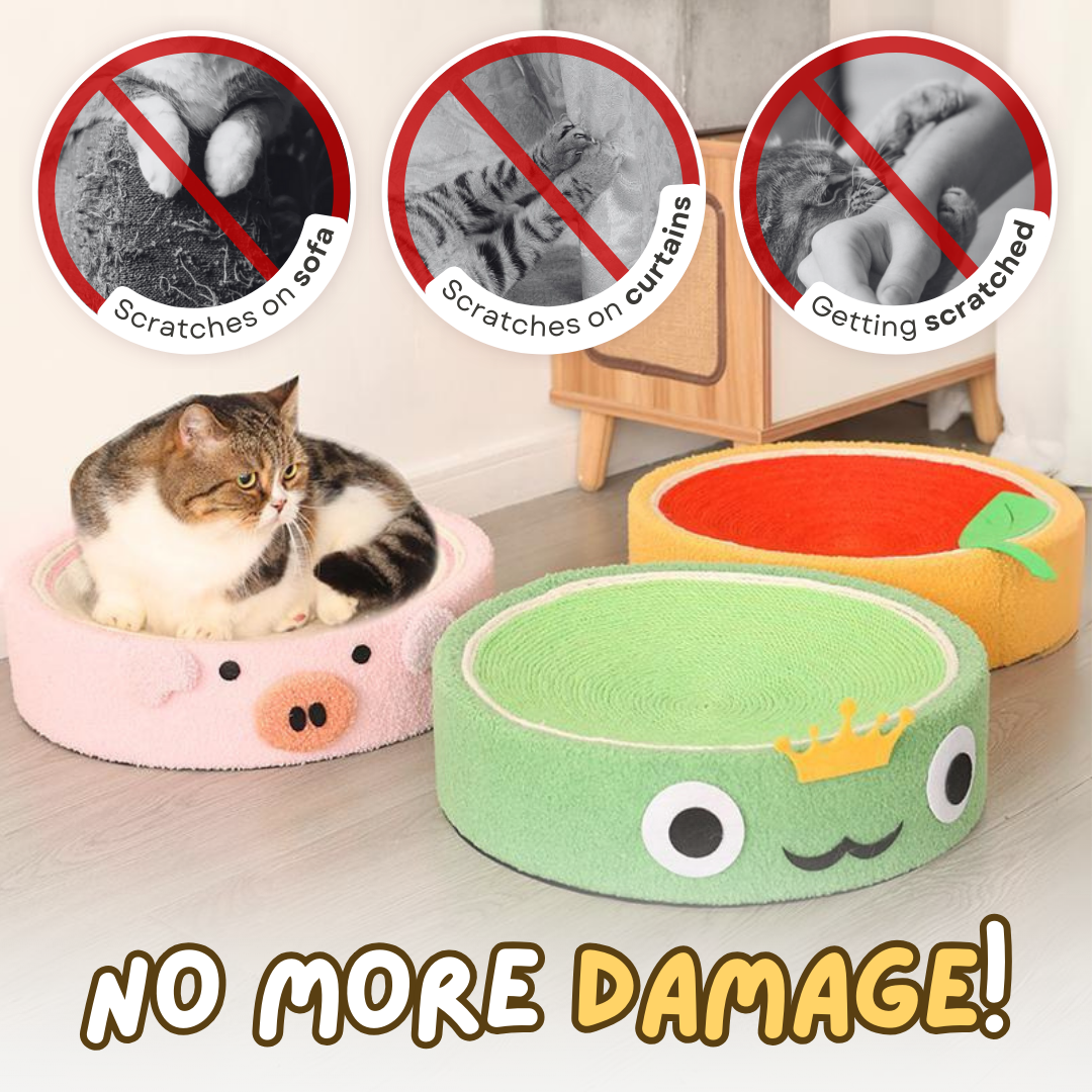 Space-Saving Cat Bed & Scratcher in Cute Designs for Cozy Homes-Cat Bed & Scratcher-2-Colydia