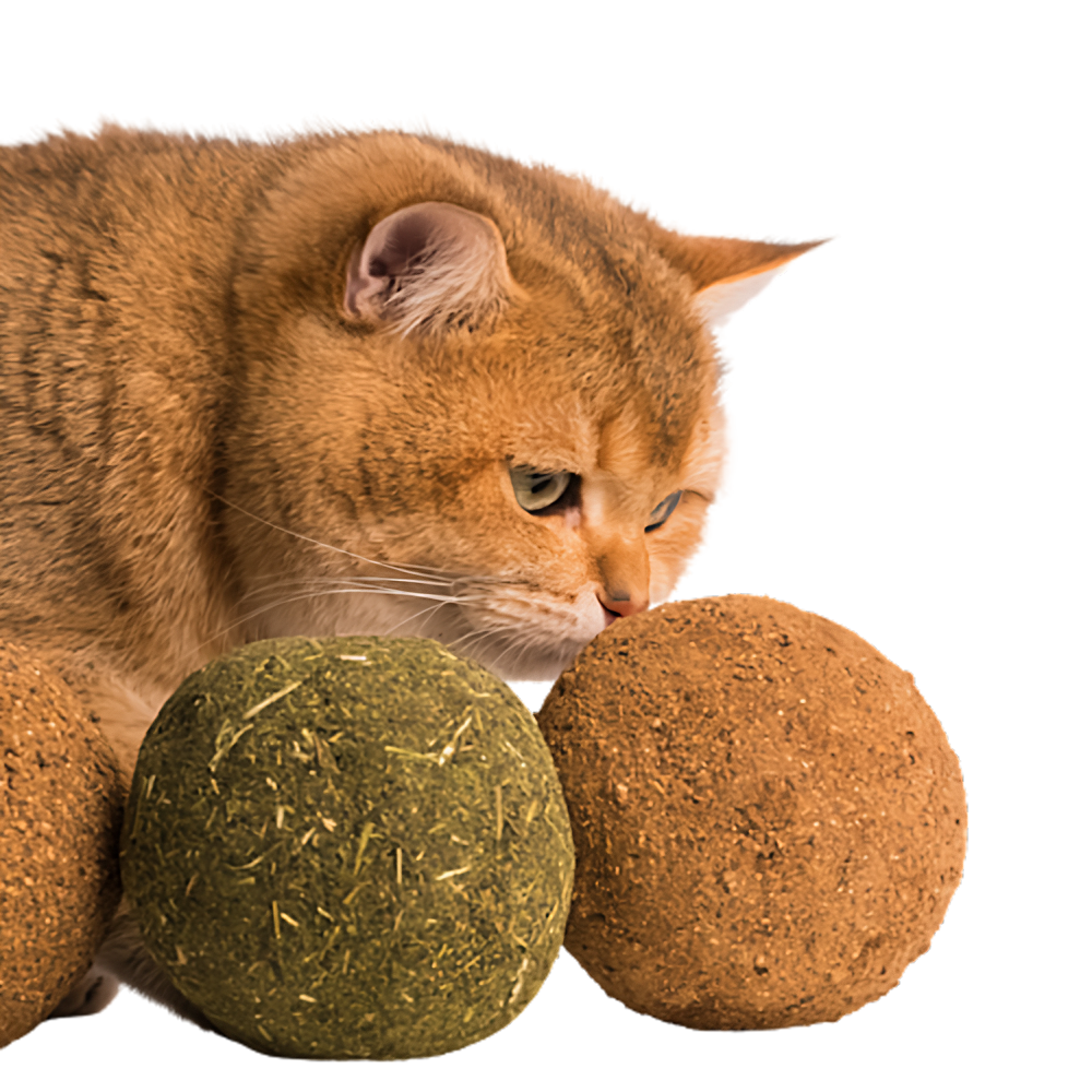 Jumbo Catnip Play Ball: Ultimate Interactive Toy for Happy Cats-Cat Toy-1-Colydia