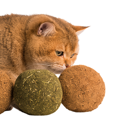 Jumbo Catnip Play Ball: Ultimate Interactive Toy for Happy Cats-Cat Toy-1-Colydia