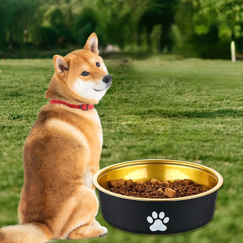 RegalPet Gleam Luxury Dog Bowl-Luxury Dog Bowl-4-Colydia