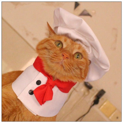 Pet Chef Costume | Cute Adjustable Hat & Bib for Cat & Dog Dress-Up-Pet Costume-1-Colydia