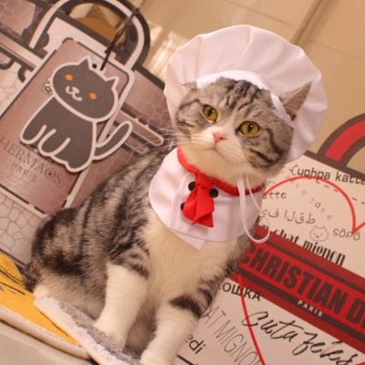 Pet Chef Costume | Cute Adjustable Hat & Bib for Cat & Dog Dress-Up-Pet Costume-2-Colydia