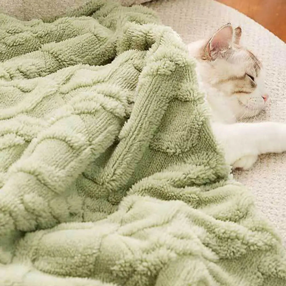 Ultra-Soft Soothing Cat Blanket for Ultimate Comfort and Warmth-Cat Blanket-M (45x55cm)-2-Colydia