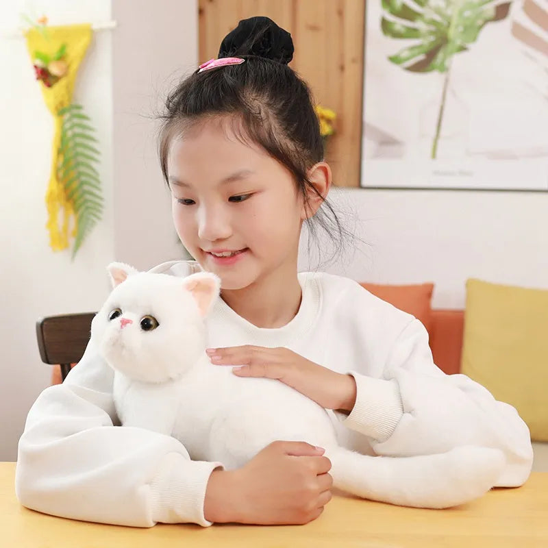 Adorable White Kitten Plush Toy - Soft, Realistic, 26 cm Cuddly Companion-Plush Toy-3-Colydia