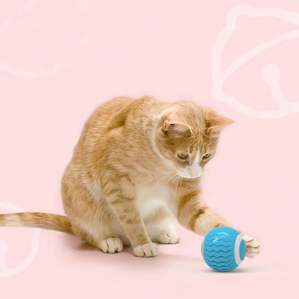 Smart Silicone Cat Ball with Catnip & Obstacle Avoidance-Interactive Cat Toy-5-Colydia