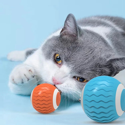 Smart Silicone Cat Ball with Catnip & Obstacle Avoidance-Interactive Cat Toy-1-Colydia