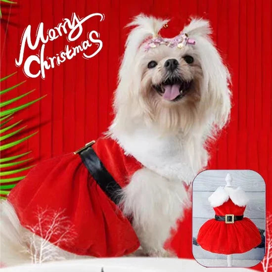 Holiday Red Pet Dress - Soft, Comfortable Fit for Cats & Dogs-Pet Costume/Dress-2-Colydia