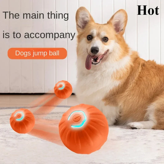 Interactive Dog Toy Ball: Smart, Rechargeable Fun for Active Pups!-Interactive Dog Toy-1-Colydia