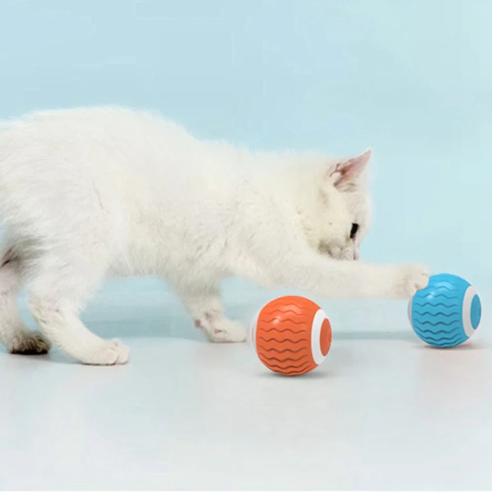 Smart Silicone Cat Ball with Catnip & Obstacle Avoidance-Interactive Cat Toy-4-Colydia