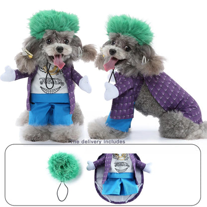 Joker Pet Costume for Cats & Dogs - Vibrant Halloween Outfit, Comfortable Fit-Pet Costume-3-Colydia