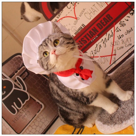 Pet Chef Costume | Cute Adjustable Hat & Bib for Cat & Dog Dress-Up-Pet Costume-6-Colydia