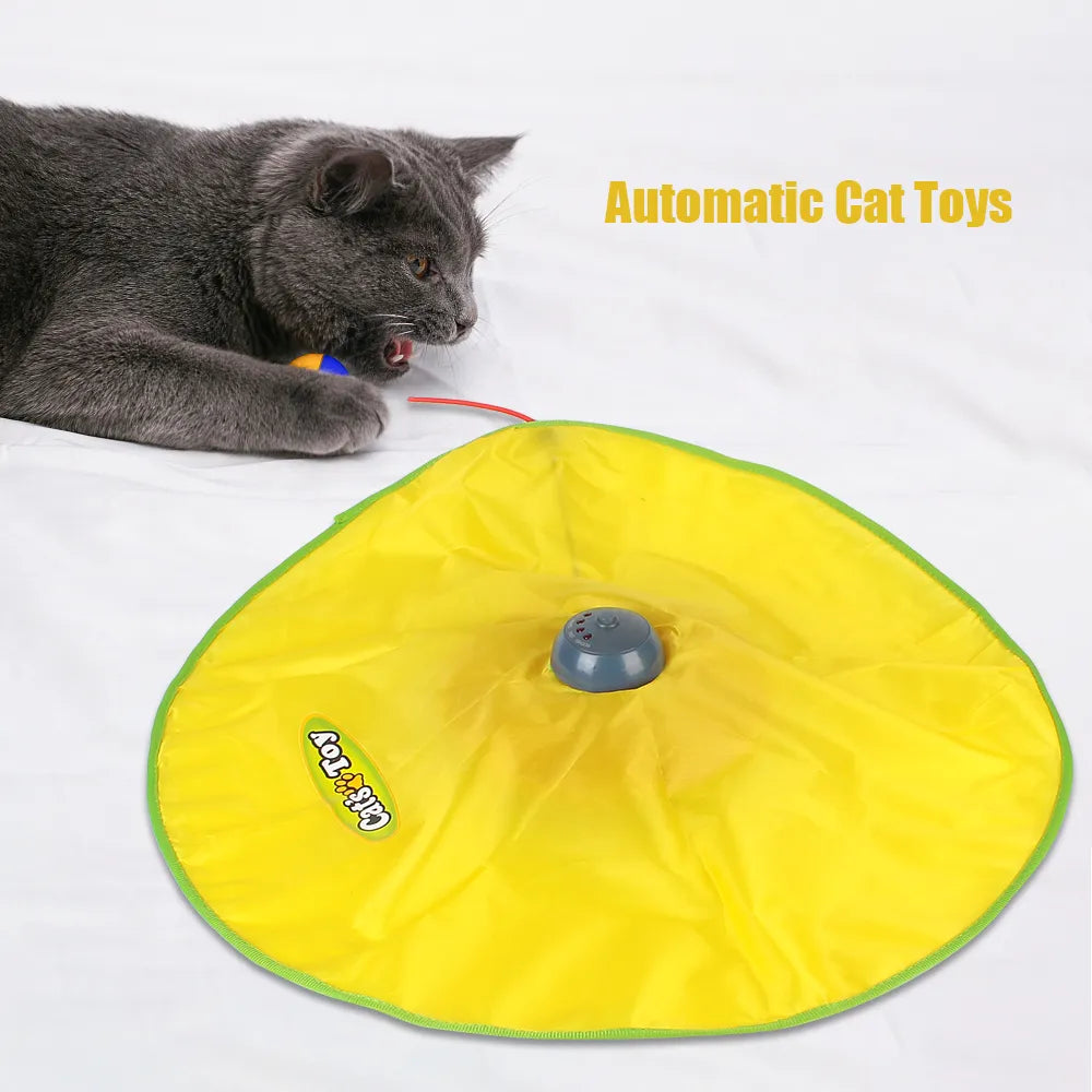 Playful Cat Mat with Feather Wand – Durable, Safe & Interactive-Interactive Cat Toy Mat-4-Colydia