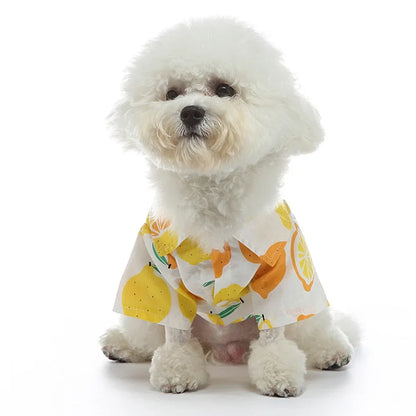 Vibrant Cotton Pet Shirt for Summer - Perfect for Cats & Dogs-Pet Clothing-2-Colydia