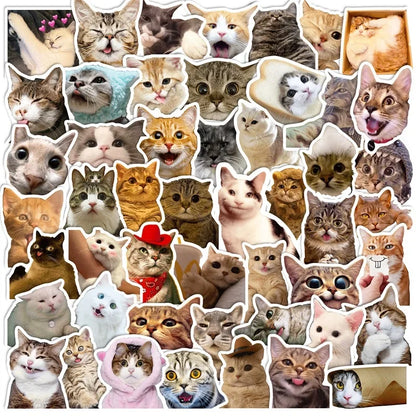 Adorable Waterproof Vinyl Cat Stickers - Pack of 50 Cute Designs-Cat Stickers-Model 2 (Pack of 50)-1-Colydia