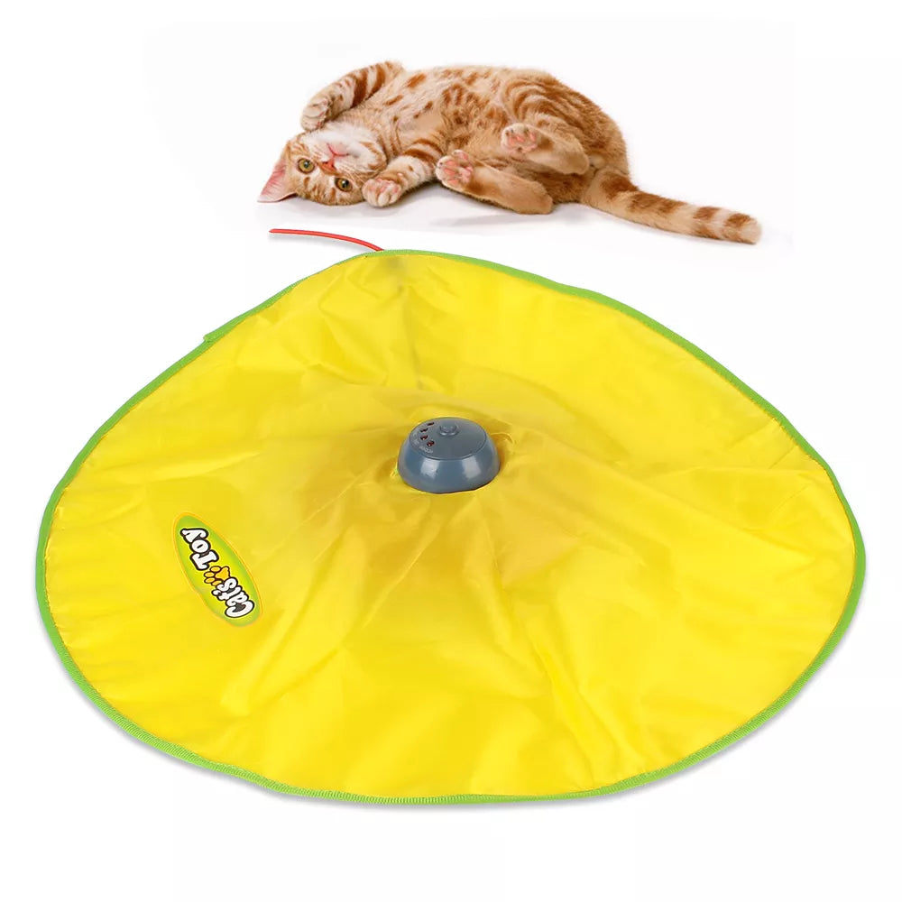 Playful Cat Mat with Feather Wand – Durable, Safe & Interactive-Interactive Cat Toy Mat-1-Colydia