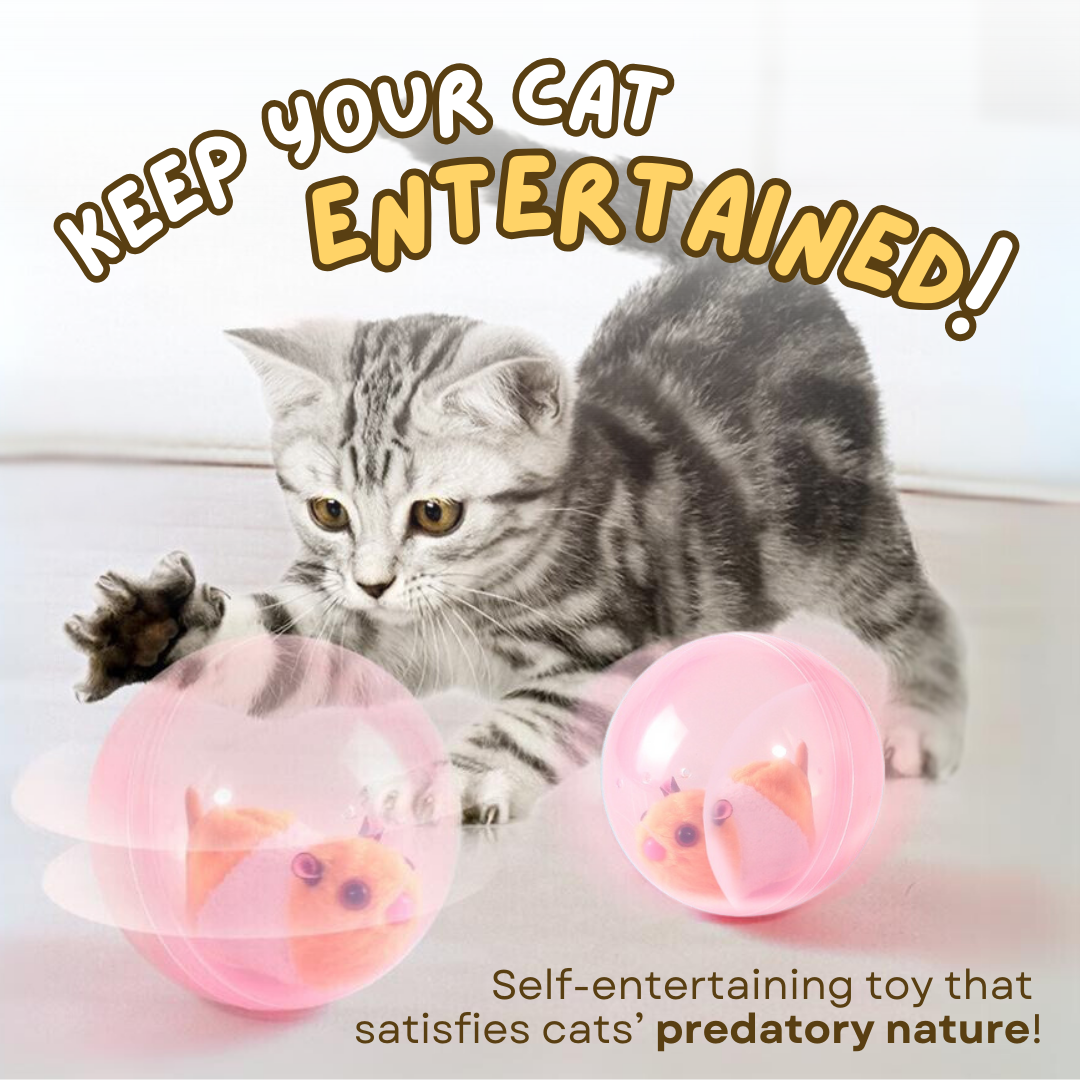 Automatic Running Hamster Toy for Cats - Fun, Healthy, Engaging-Automatic Running Cat Toy-2-Colydia