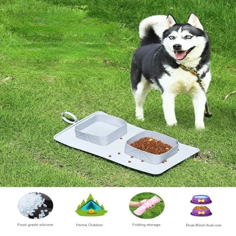 GoFetch! Portable Pooch Plate - Dual-Compartment Dog Bowl-Portable Dog Bowl-2-Colydia