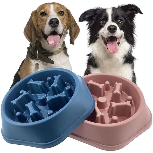 Anti-Gulping Pet Bowl for Healthy Eating & Better Digestion-Anti-Gulping Pet Bowl-1-Colydia